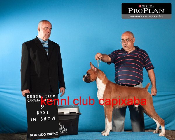 Clique sobre a foto para fechar